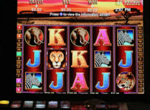 开元国际67ky正式版